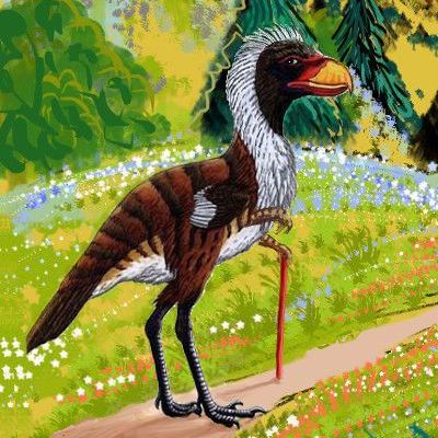 A giant flightless bird resembling Titanis walleri (extinct on Earth) but with a larger brain, smaller talons and small forelimbs with hands; native to Atlantis on Abyssia, an alternate Earth. Based on drawing of our Titanis by P. Gryz.