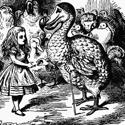 Line drawing of a gentlemanly Dodo with hands of mysterious origin; by John Tenniel, from ALICE IN WONDERLAND.