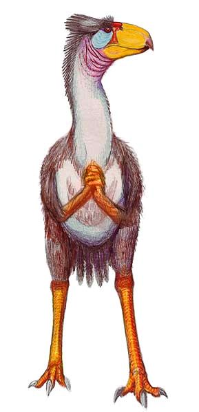 Color pencil drawing by Dmitri Bogdanov of a giant flightless extinct bird, Titanis Walleri. (From Wikipedia; creative commons copyright, so please do not use commercially.) Altered by Chris Wayan to an alternate Titanis with smaller talons, a gracile build, and small forelimbs with hands.