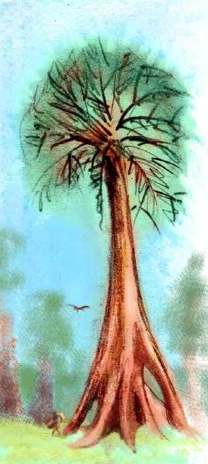 Sketch of a 120-meter redwoodlike tree with flying buttresses, in northeastern Atlantis, a continent on Abyssia, an Earth where up is down and down is up.