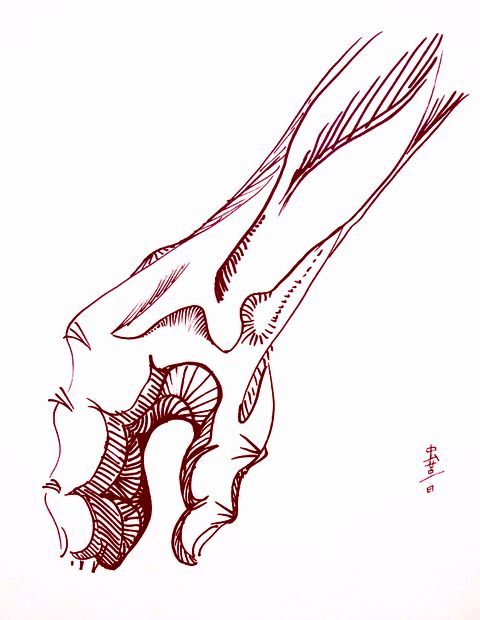 A sepiatone arm floating in a void. Dream sketch by Wayan. Click to enlarge.