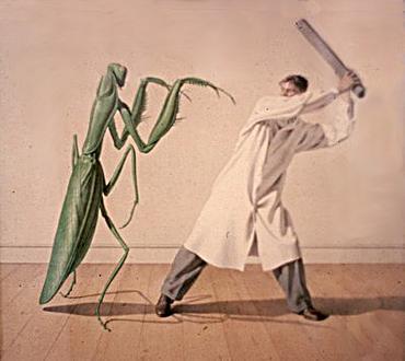 Mantis'', 1950s, dream painting by Peter Birkhauser.