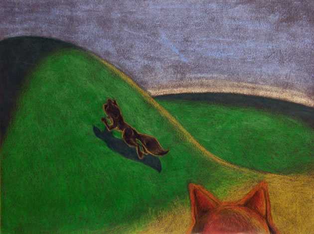 Black fox runs up a green hill; in foreground, ears of a watching red fox.