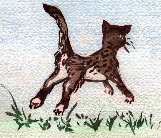 Sketch of a black and white female cat leaping, from a dream by Chris Wayan: 'Coco Chanel's Pussy.