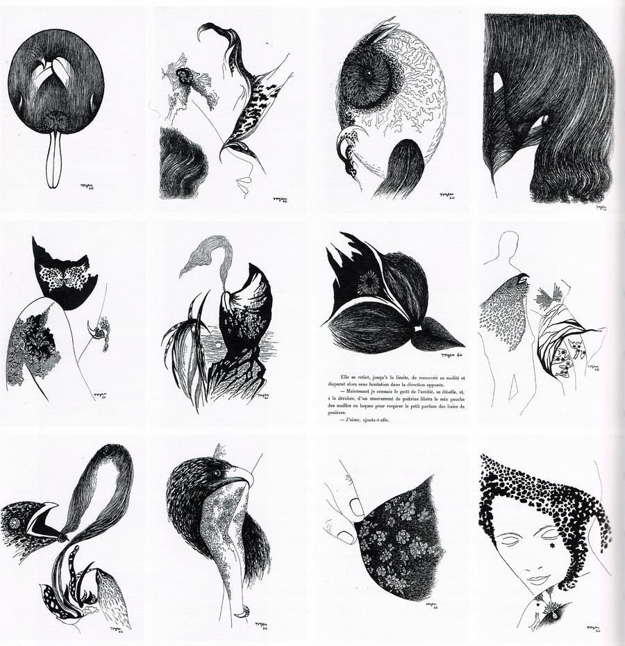 'Debris of Dreams', set of ink drawings, 1966, by Toyen. Click regions to enlarge.