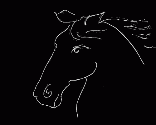 Horse Head 2, by Patricia Kelly (a/k/a Roswila); white line drawing on black.