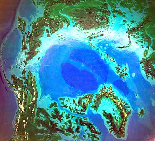 Orbital photo of Dubia, a possible future Earth. The ice-free Arctic Sea and its forested coast.