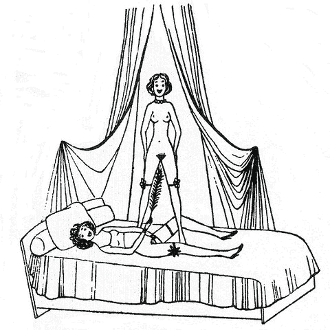 'Dve Pritelkyne', a sketch of lesbian feather sex (probably from life) drawn 1925 by Toyen. Click to enlarge.