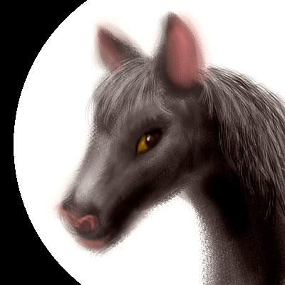 Digital sketch of my spirit wife Silky: head of a black mare with brown eyes.