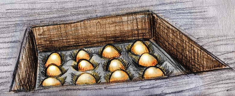 A flat of golden goose eggs hid under a bank floor. Dream sketch by Wayan. Click to enlarge.