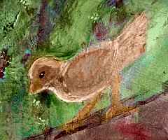 Paint-sketch by Chris Wayan of a brown sparrow scratching in the dirt