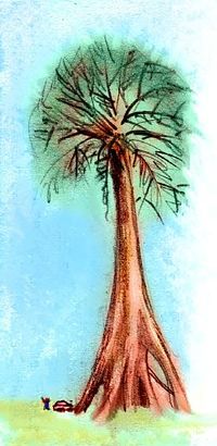 Watercolor sketch of a dream by Wayan of a huge tree with mangrovish buttresses, redwoodish trunk, and spruce-colored crown.