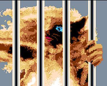 Teri Garr the cat in prison.