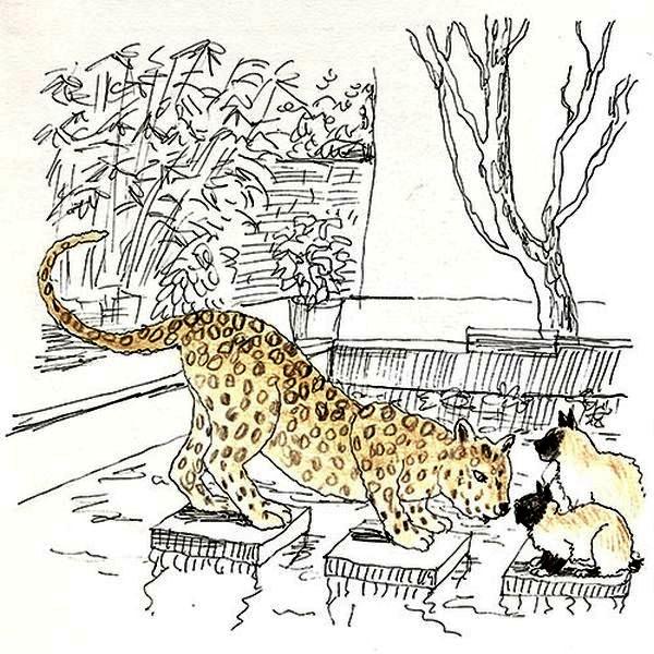 A Leopard Visits: dream art by Jane Gifford.