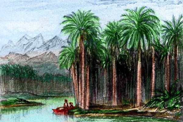 Sketch after Edward Lear of lagoon, palms, high peaks in background; Pem Sish Is. on Kakalea, an unlucky Earthlike world.