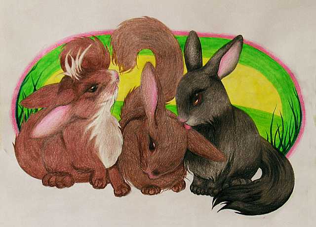 Three long-tailed rabbits I met in a dream: Karma (brown fur), Mahakali (gray), and Unicorn (with mohawk)