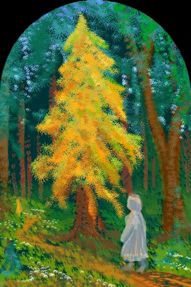 Man in a gray raincoat on a woodland trail beside a yellow, dying pine