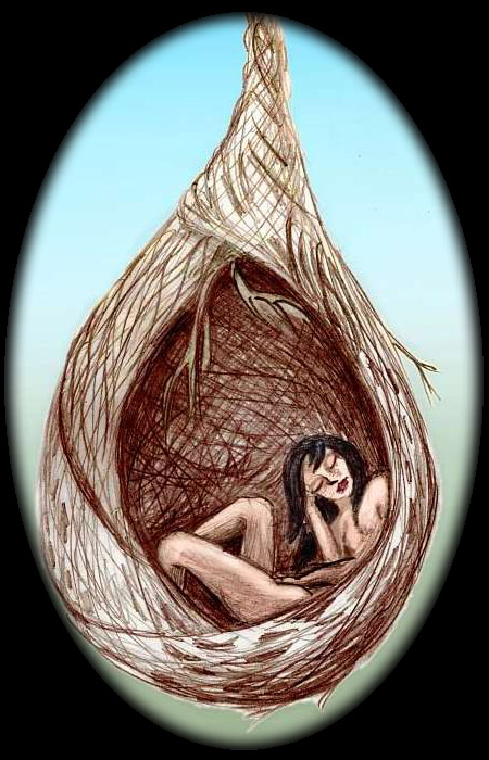 Pencil sketch of a dream titled 'The Lead Hazard of Witches' by Chris Wayan: in a parallel world I find an abused woman, possibly a persecuted witch, curled fetally in an oval nest of twigs hanging from a tree. Click to enlarge.