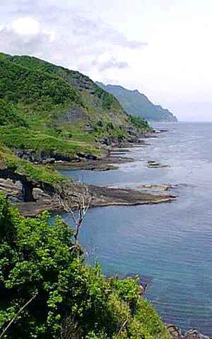 A Polynesian shore: steep jungle slope with waterfalls dropping to beach sheltered by coral reefs.