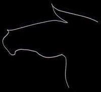 line drawing of a horsehead in profile; white on black.