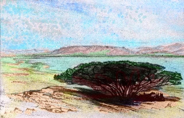 Sketch of savanna with scattered low, broad trees, around a shallow arm of Tira Gulf; Continent 3 on Pegasia, an Earthlike moon. Based on a watercolor by Edward Lear.