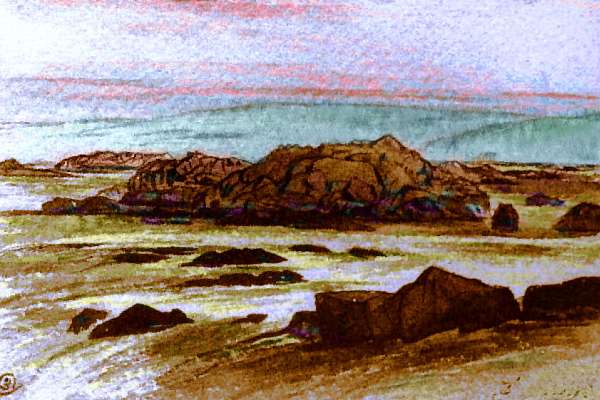 Sketch of tidal mudflats and rocks with clinging sea life, on Pegasia, an Earthlike moon. Based on a watercolor by Edward Lear.
