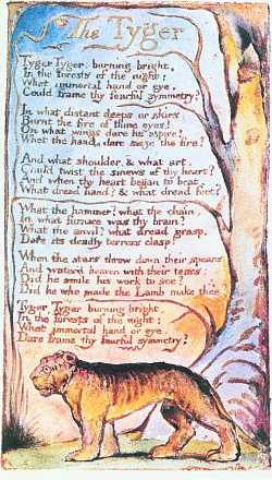 Page from Blake's 'Songs of Experience': the illustrated poem 'The Tyger'. Click to enlarge.