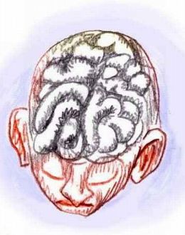 Child with cutaway head showing large brain. Sketch by Wayan.