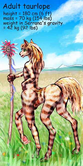 A taurlope, a centauroid person from the veldts on Serrana, a world-building experiment. This woman is brown and white striped, with palomino mane and tail. She's holding a staff capped in flowerlike red tentacles, a badge of her negotiation skill with traders of the squidlike Hexapi people.  Click to enlarge.
