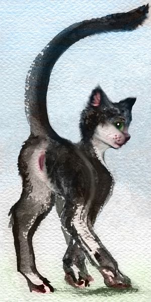 watercolor sketch of female cat