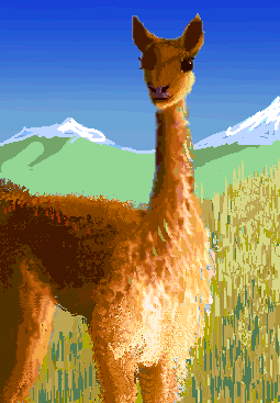 Sketch of an Andean vicuna, a member of the Llama Exodus which crossed the Atlantic on foot; on Siphonia, a study of the Earth with 90% of its water drained away.