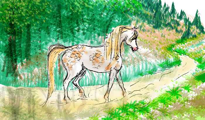 A dappled mare wades up a shallow stream through open woods; the stream is amber-colored.