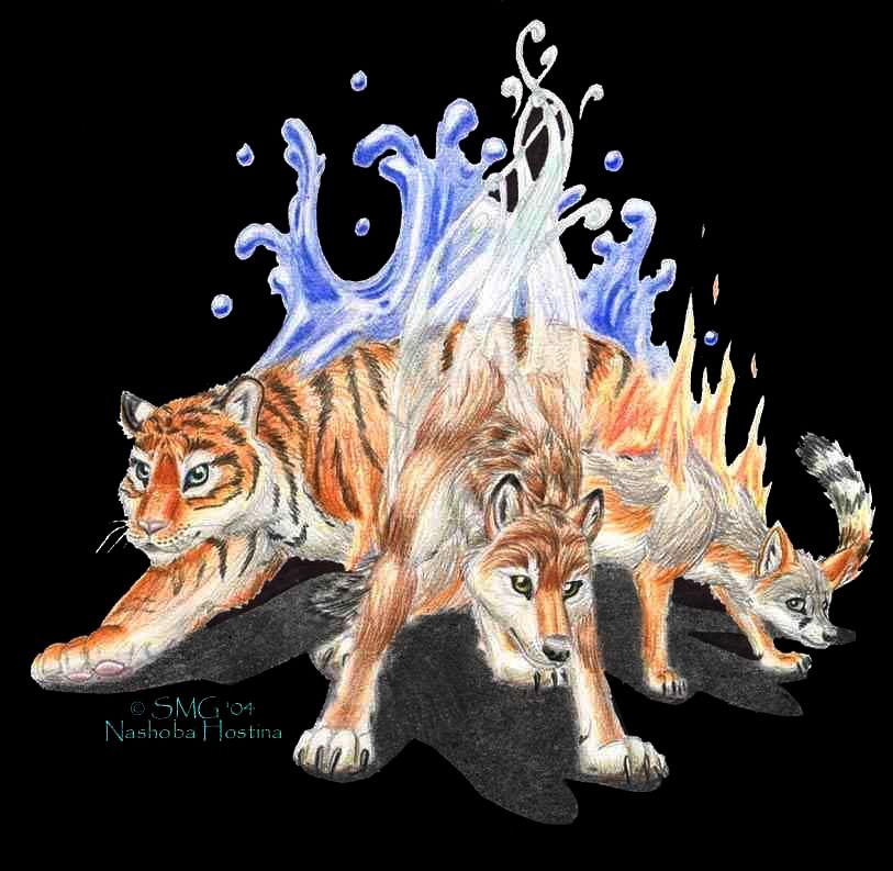 Color pencil drawing of a tiger, a wolf, and a fox together in the darkness, their energies fusing to light their way.