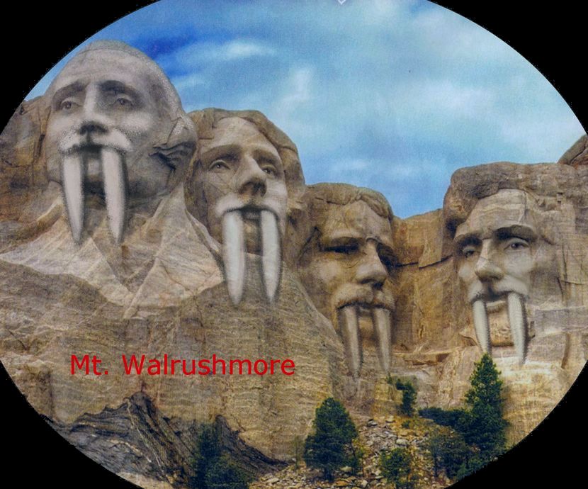 Mount Walrushmore, a noble sculptural monument seen in a dream by Chris Wayan. Click to enlarge.